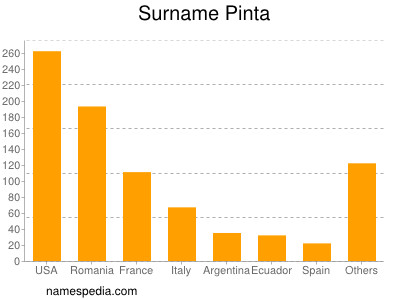 Familiennamen Pinta