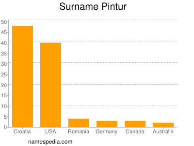 Familiennamen Pintur