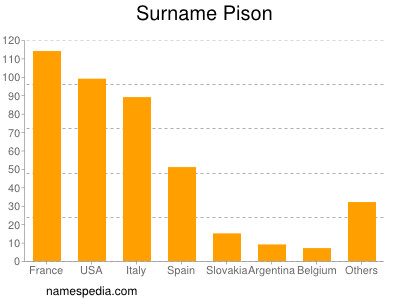 Surname Pison