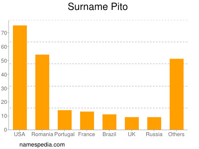 Surname Pito