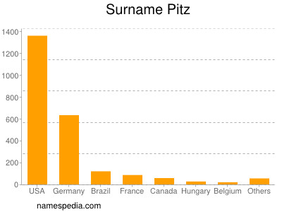 Surname Pitz