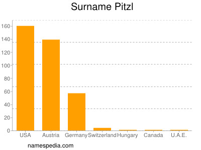 Familiennamen Pitzl