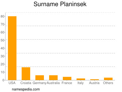 Familiennamen Planinsek