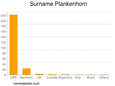 Familiennamen Plankenhorn