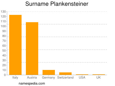 Familiennamen Plankensteiner