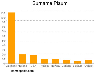 Familiennamen Plaum