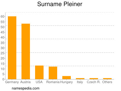 Familiennamen Pleiner