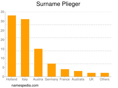 Familiennamen Plieger