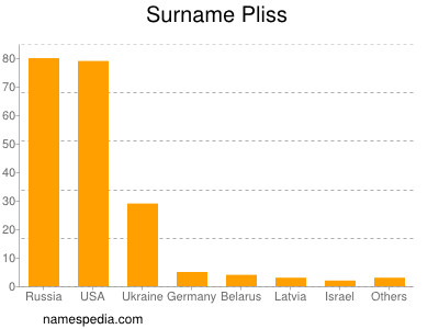 Familiennamen Pliss