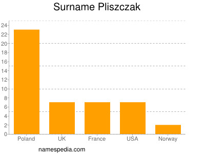 Familiennamen Pliszczak