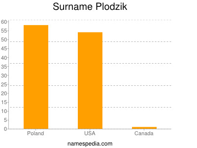 Familiennamen Plodzik