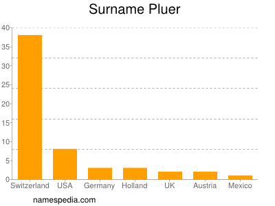 Familiennamen Pluer