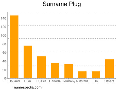 Familiennamen Plug