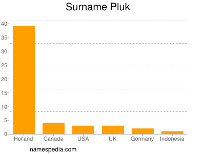 Familiennamen Pluk