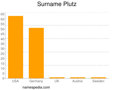 Familiennamen Plutz