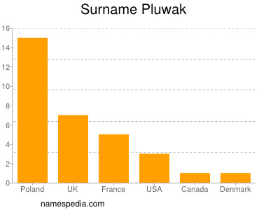Familiennamen Pluwak