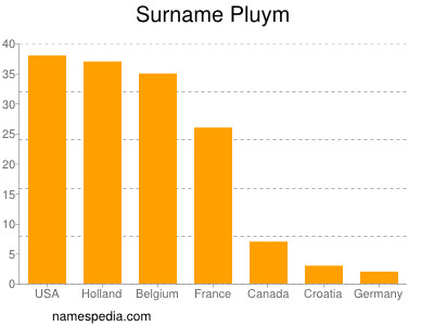 Familiennamen Pluym