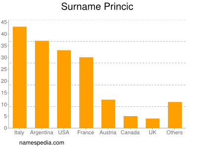 Surname Princic