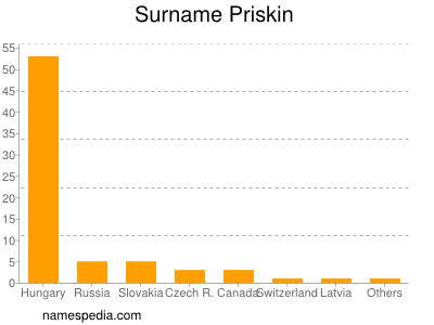 Familiennamen Priskin