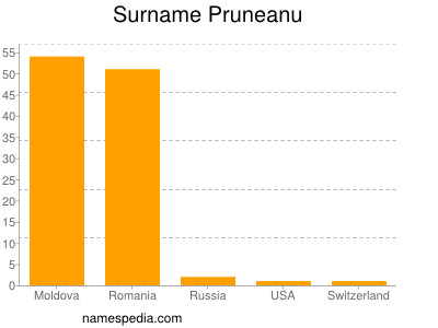 Familiennamen Pruneanu