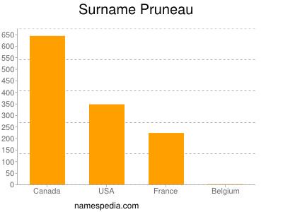 Familiennamen Pruneau