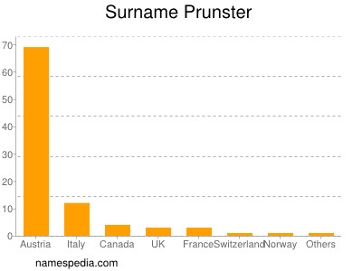 Surname Prunster