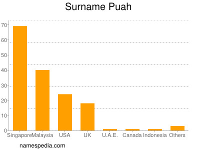 Surname Puah