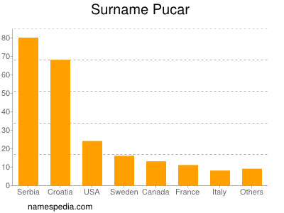 Familiennamen Pucar