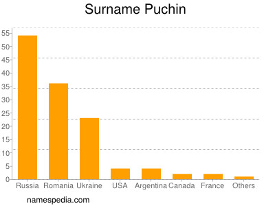 Familiennamen Puchin