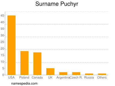 Surname Puchyr