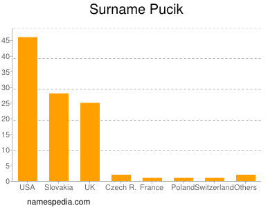 Surname Pucik