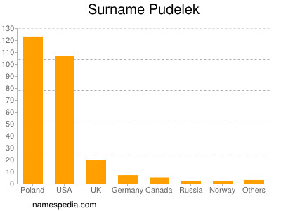Surname Pudelek