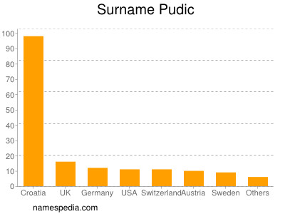 Surname Pudic