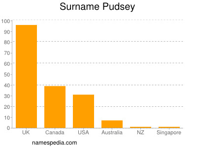 Surname Pudsey