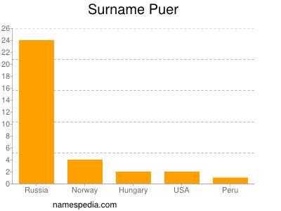 Familiennamen Puer