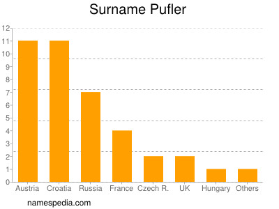 Familiennamen Pufler