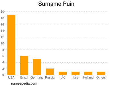 Familiennamen Puin