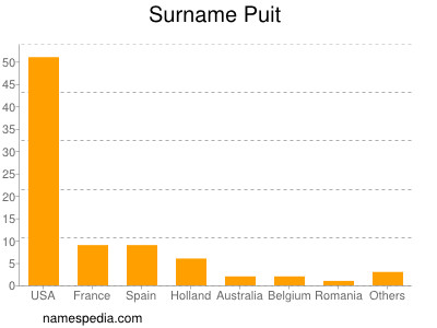 Surname Puit