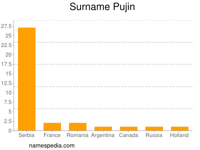 Surname Pujin
