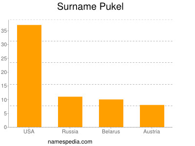 Familiennamen Pukel