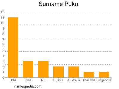 Familiennamen Puku