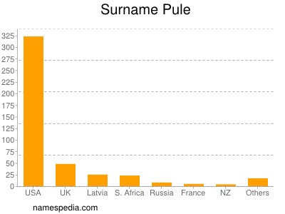 Familiennamen Pule