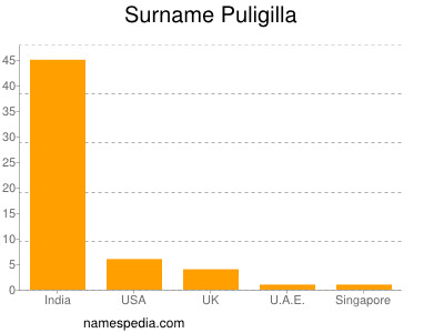 Familiennamen Puligilla