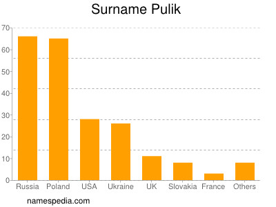 Familiennamen Pulik