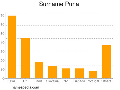 Familiennamen Puna