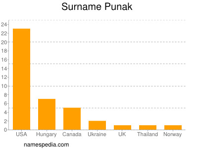 Familiennamen Punak