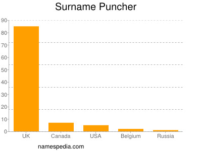 Familiennamen Puncher