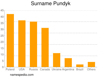 Surname Pundyk