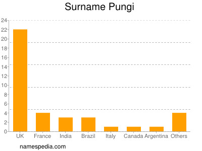 Familiennamen Pungi