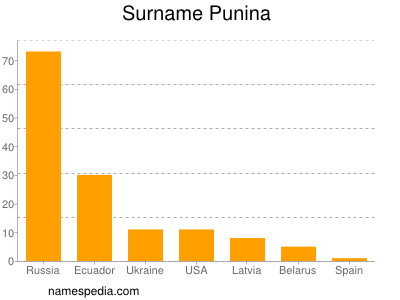 Surname Punina